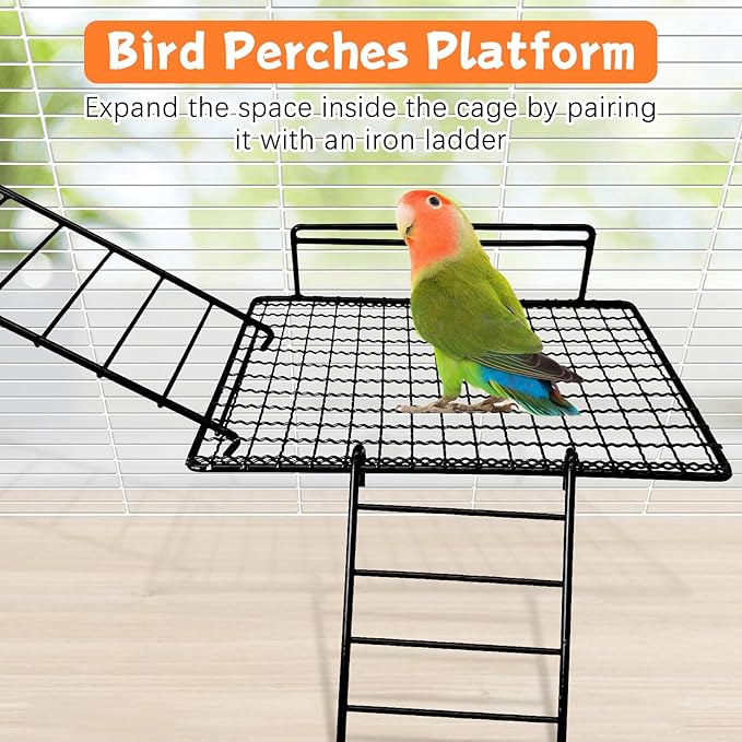 BNOSDM Large Stainless Steel Grid Platform for Parakeet 4 PCS Bird Perches Platform Parrot Stand with Climbing Ladder Bird Cage Accessories for Small to Large Bird (Screw Style-L)
