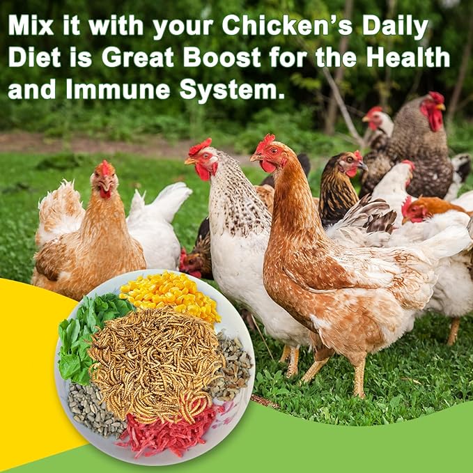 MTART 600g Dried Mealworms Treat for Chicken, 100% Natural Non-GMO High Protein Organic Chicken Feed for Birds, Ducks, Layer Hens