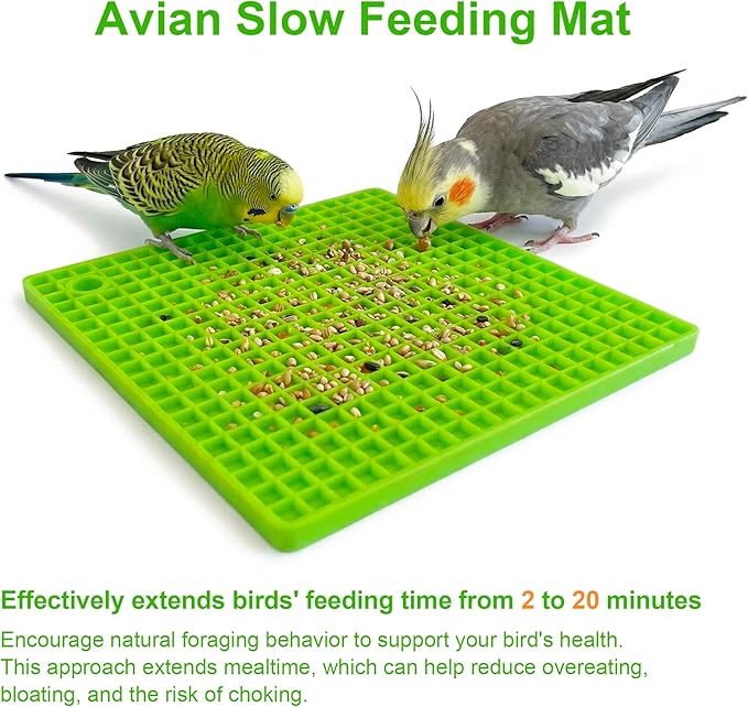 2-Pack Square Bird Foraging Mat for Parakeets & Cockatiels | 80g Weighted Anti-Slip Silicone Slow Feeder Toy | Enlarged Holes for Mixed Seeds & Fruits | Enrichment Toy for Budgies, Conures & Finches
