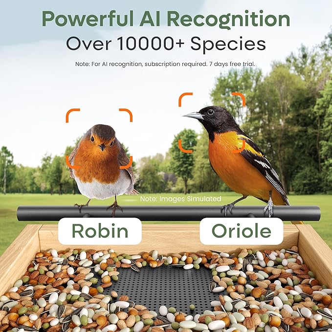 Adomii Bird Feeder with Camera, 2.4L Solar Powered Birdfeeder with AI Bird Identification & Alerts, Squirrel-Proof & Weatherproof, Adomii Window Bird Feeder with Double Bin, 1080p HD Live Camera