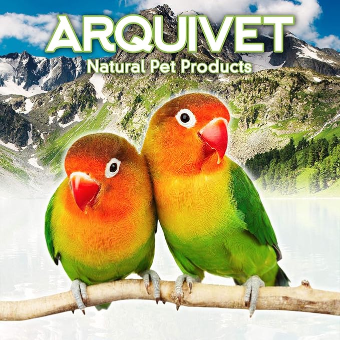 arquivet 8435117854949 – Parrot Feeder Stainless Steel 0.28 L