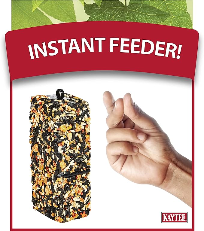 Kaytee Woodpecker Bird Bar 11 oz (Pack of 4)