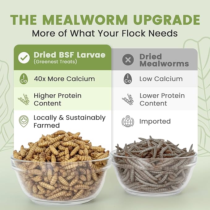 Black Soldier Fly Larvae for Chickens & Ducks – 5lb Dried Worms & Grubs – High Protein & Calcium Mealworms Alternative – Dried Black Fly Larvae for Chickens Bulk – Non-GMO, Farmed in North America