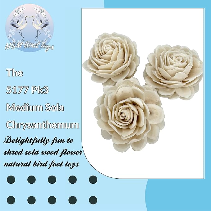 5177 Pk3 Medium Sola Chrysanthemum - Handmade beautiful soft sola wood flowers, Delicate chewable petals, Lightweight, Stuff treats inside, Great for Cockatiels Conures Budgies Parrotlets and more