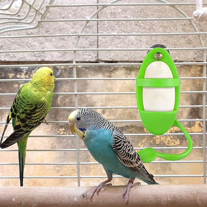 Bird Cuttlebone Holder Bird Feeding Holder with Stand for Parrot Parakeet Cockatiel Conure