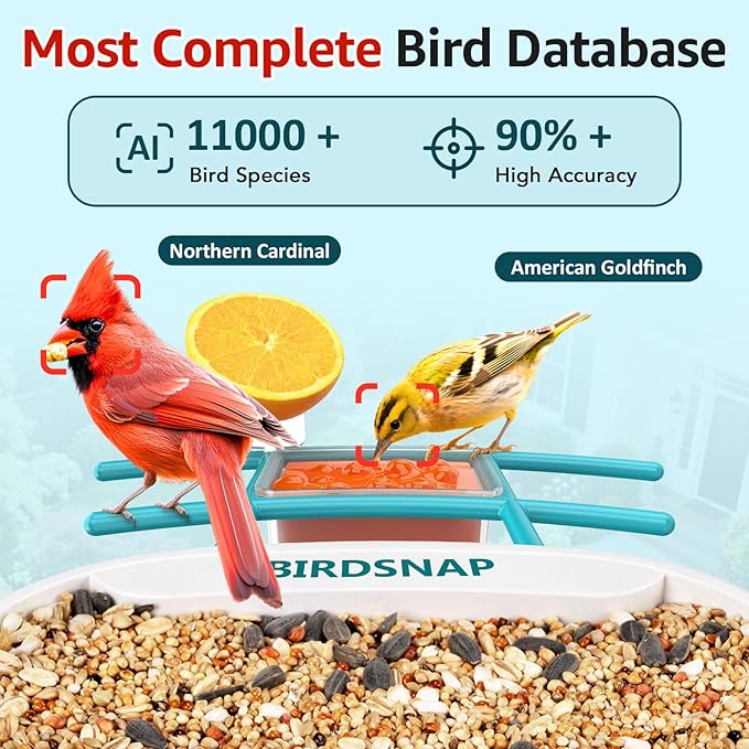 birdsnap® TUC Bird Feeder with Camera 2K HD Live with 32GB Card Auto Detect & Notify AI Identify Camera Birds Feeders Solar Powered Wireless Outdoors Backyard Gift for Mom Dad Birds Lover, 2.4G WiFi