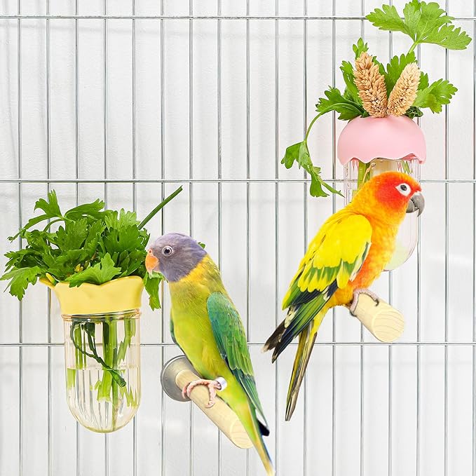 4 Pcs Millet Holder for Bird Cage Feeder Parrot Vegetable Veggies Holder No Mess Bird Feeder Cups for Fruit with Water Storage to Keep Fresh Hanging Cage for Parakeet Macaw Lovebirds