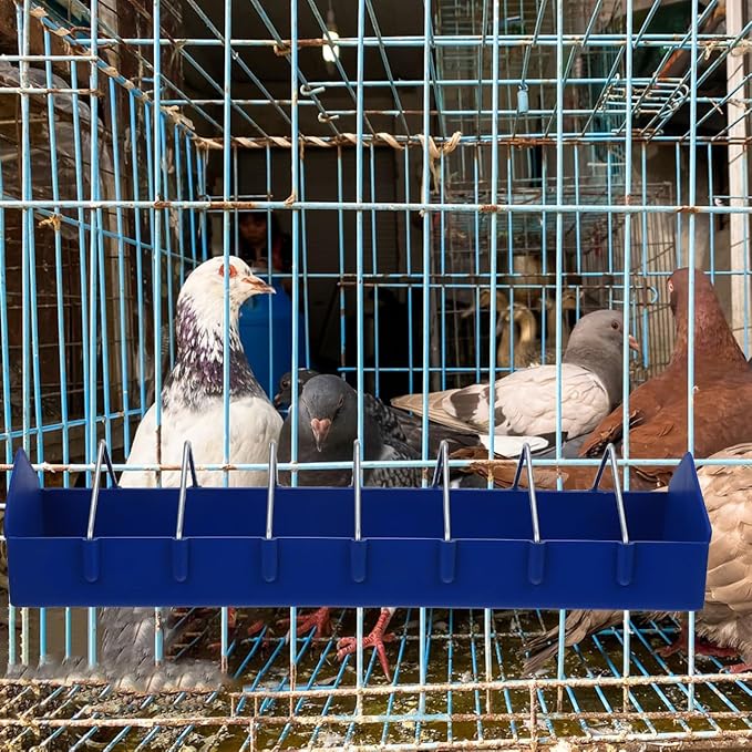 BESPORTBLE Thickened Plastic Food Tank for Birds Versatile Feeding Trough with Multiple Slots for Pigeons Parrots and Small Birds - Easy to and Maintain (15.24X4.13X3.15 Inch)