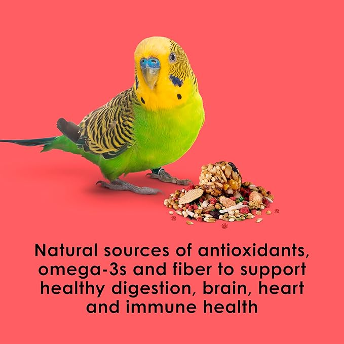 Kaytee Fiesta Parakeet Food,Nutritious and Fun Blend,Supports Skin,Feather,Digestion,Brain and Heart Health,2 pounds,(Pack of 2)