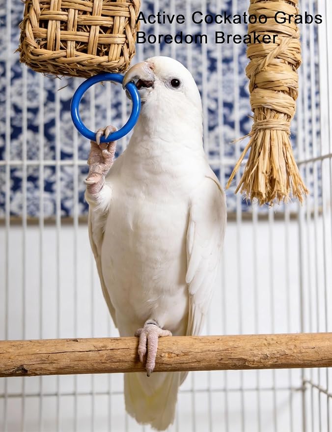 12 Pack Bird Toys for Small and Medium Parrots, Colorful Chew Bell Balls Foot Toys with Rattles for Parakeets Cockatiels Conures