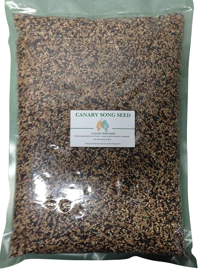 Canary Song Seed 5lb-Improve Singing