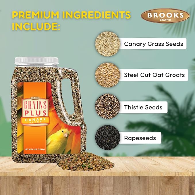 Brooks Brand Grains Plus Canary Blend, Canary Bird Food Seed, Seeds for Birds, Comida para Canarios, Alpiste para Pajaros (4.5 lbs)