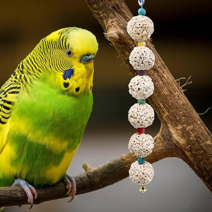 Jinkoozz Bird Chewing Toy, Bird Sola Ball Toy with Bell, Bird Cage Accessories, Cage Toys for Cockatiel Parakeet Parrot Budgies Rat Hamster Chinchilla Rabbit Bunny African Grey