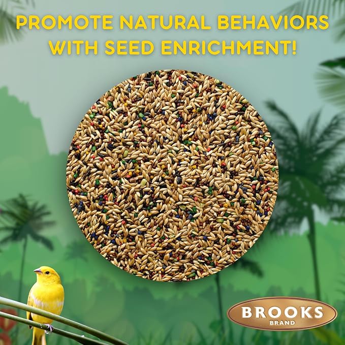 Brooks Brand Grains Plus Canary Blend, Canary Bird Food Seed, Seeds for Birds, Comida para Canarios, Alpiste para Pajaros (4.5 lbs)