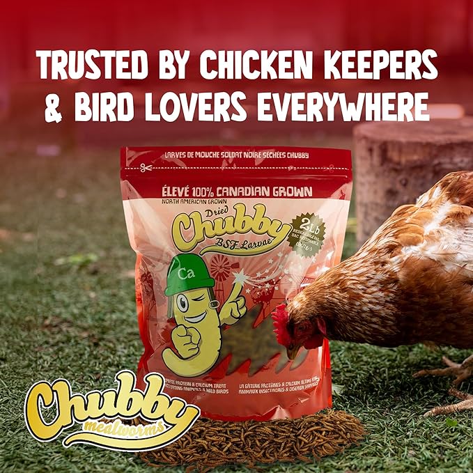 Chubby Dried Black Soldier Fly Larvae | 5 lbs | High Calcium Sustainable Protein Snack for Chickens, Laying Hens, Wild Birds & Reptiles