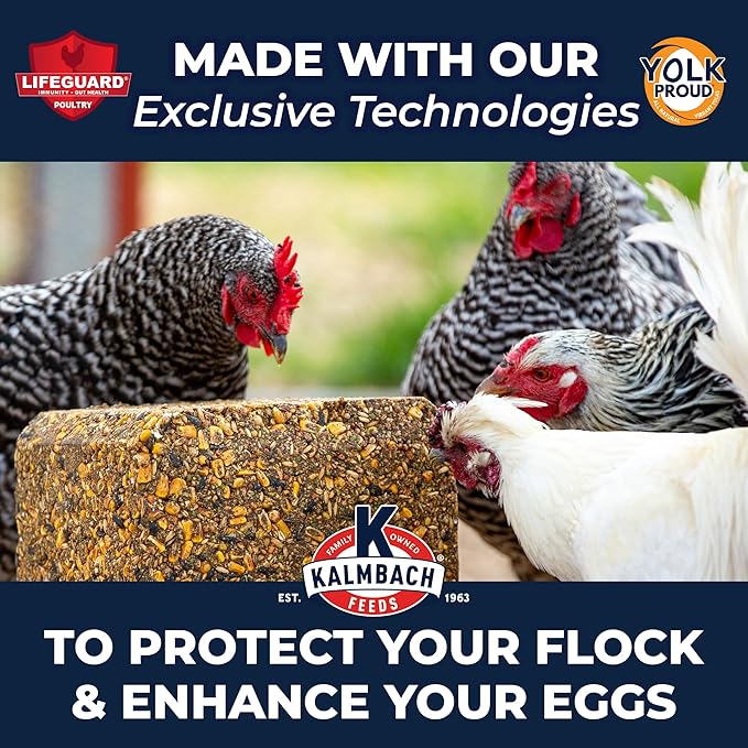 KALMBACH Feeds Henhouse Reserve Summer Berry Treat Block for Chickens, 20-LB Block