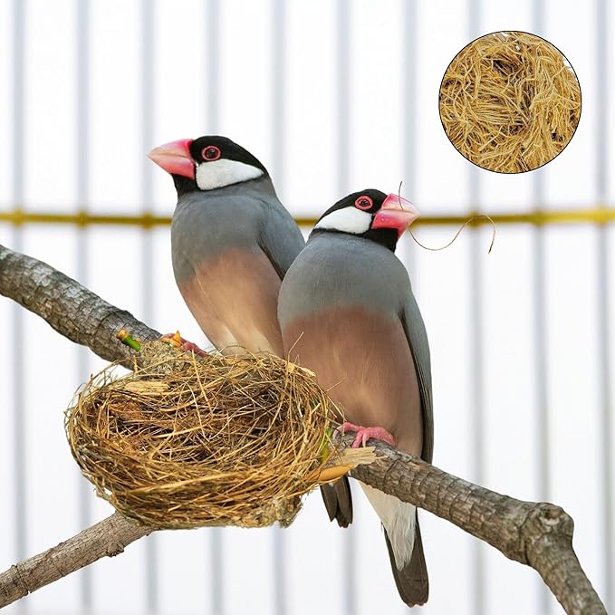 SISALFIBRE Natural Bird Nesting Material 2.2Lb - Nest Substrate for Canaries, Finches, Exotic Birds - Bird Cage Accessories for Parakeet Cage, Bird Nest and Nesting Box, Soft & Breathable