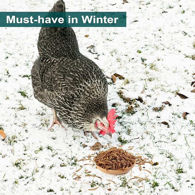 5LBS Non-GMO Dried Mealworms for Wild Bird Chicken Fish,High-Protein,Large Meal Worms.