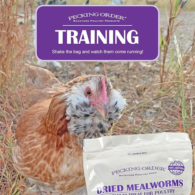 Pecking Order Dried Mealworm, 5 lbs