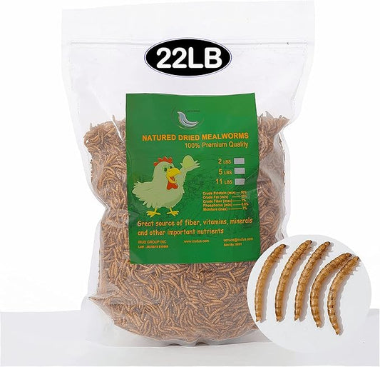22 lbs Non-GMO Dried Mealworms for Wild Bird Chicken Fish,High-Protein,Lrage Meal Worms.
