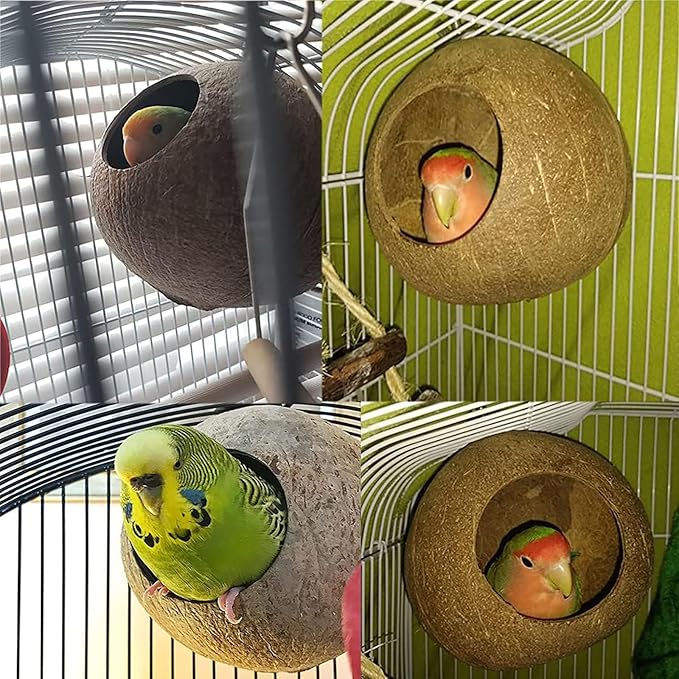 OMEM Bird Coconut House,Hamster House,Coconut Shells can Fixed in Bamboo, Birdcages, Hamster Cages (L)