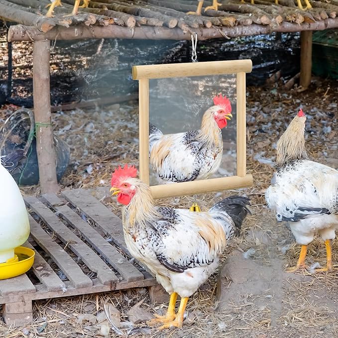Sadnyy Extra Large Chicken Mirror Toys Hanging Swing Double Side Mirror with Bell Wooden Pecking Toy for Hens Birds Parrots Coop Roosters Enrichment Toy for Poultry(Square, Wood, 1pcs)