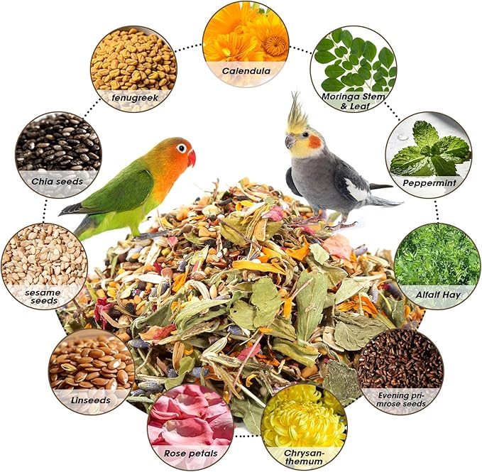 Abizoo Cockatiel & Conure Birds Foods Treats Seed Supplement for Love Birds Quaker Parrot Parakeets Digestive Health & Feather Support with Chia Flax Seeds Calendula Natural Comida para Pajaritos