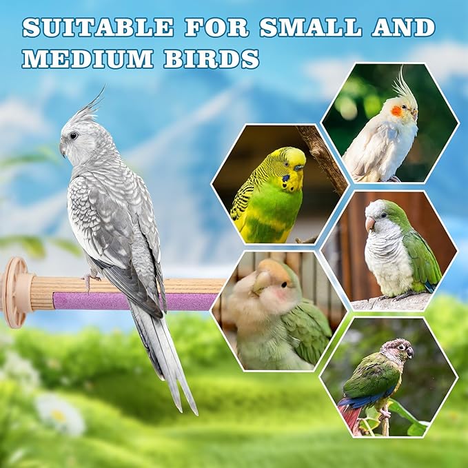 Bird Perches, Wooden Perch with Grooming Stone for Grinding Nail, Bird Perches for Cage, Cage Accessories for Budgies, Cockatiels, Lovebirds, Green Cheeks, Small to Medium Birds