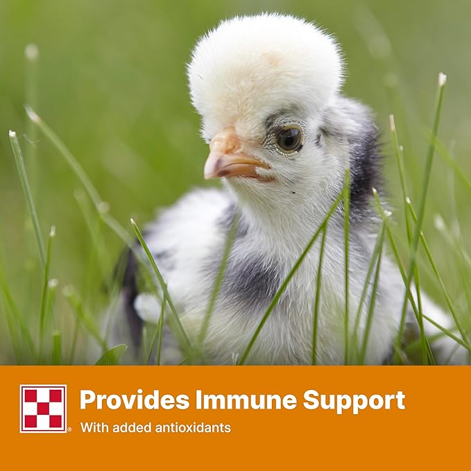 Purina Start and Grow | Non-Medicated Chick Feed Crumbles | Nutritionally Complete - 25 Pound (25 lb.) Bag