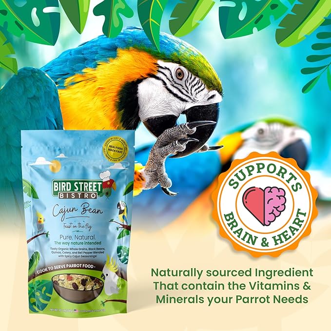Parrot Parakeet Cockatiel Food - Bird Food - Cooks in 3-15 min with Natural Grains - Legumes - Non-GMO Fruits, Vegetables, & Health Orientated Spices (4.00 Pound (Pack of 1), Cajun Bean)