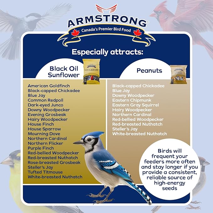Armstrong Wild Bird Food Combo Pack - Black Oil Sunflower Seed, 25 Pounds and Peanut Halves, 4.4 Pounds - High Protein Source - Ideal for Outside Feeders