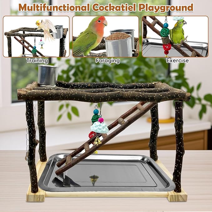 Tfwadmx Parrots Playstand Bird Play Gym Cockatiel Playground Wood Perch Stand Climb Swing Ladders Chewing Toys with Feeding Cups Exercise Activity Center for Conure Cockatiel Lovebirds