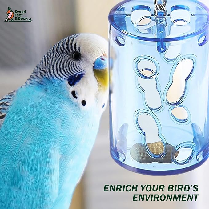 Sweet Feet and Beak Bird Proof Cockatiel Foraging Toys and Chewing Bird Toys for Parakeets – Refillable Plastic Container with Colorful Wooden Sticks – Durable & Small Size