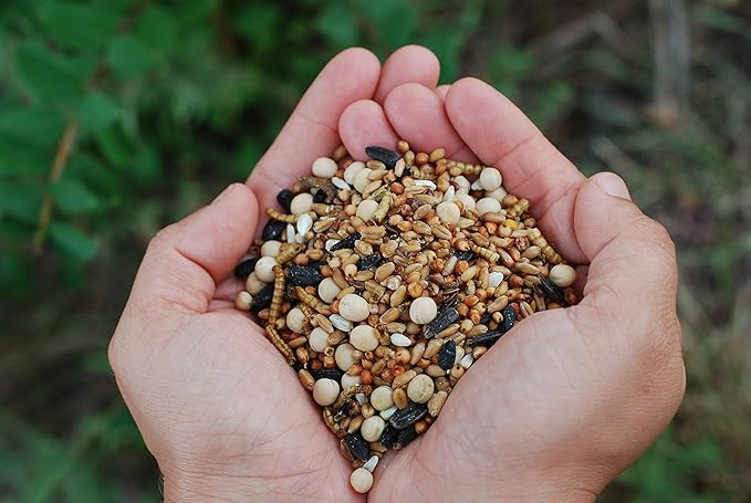 SCRATCHERCISE Premium Chicken Poultry Free-Range Scratch Treat Mix | Wheat, Milo, Peas, Sunflower, Safflower, Flax, Mealworms (5 lbs)