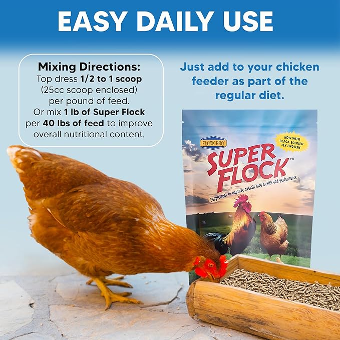 Super Flock Pro Boost Probiotic - Probiotics, Vitamins, Minerals and Electrolytes for Chickens | Chicken Vitamins and Supplements for All Poultry + 1lb