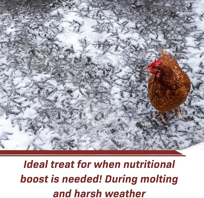 Exotic Nutrition 60 LB Bulk Dried Black Soldier Fly Larvae - High-Calcium Insect Treat - Chickens, Wild Birds, Bluebirds