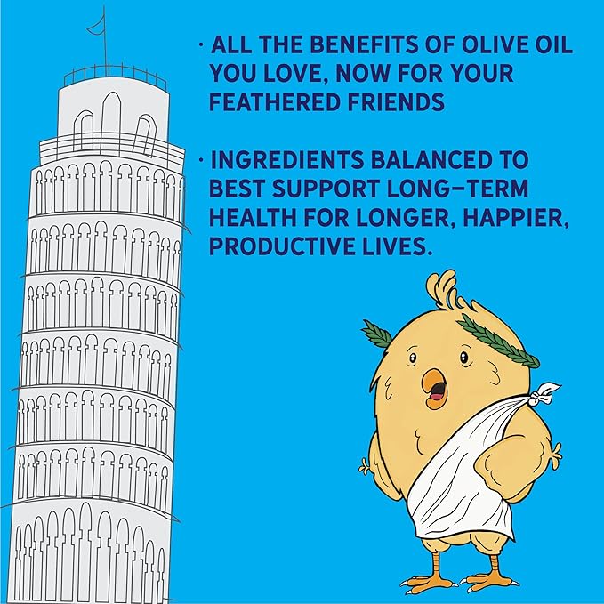New Country Organics | Olive Oil Grower/Broiler Feed for Growing Pullets and Cockerels | Corn-Free and Soy-Free | 19% Protein | Certified Organic and Non-GMO |40 lbs
