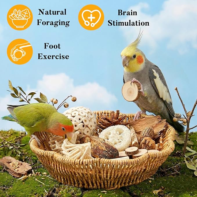 20Pcs Bird Foraging Toy Set with Hanging Basket, Natural Shredding & Chew Enrichment Toys for Parrots Cockatiels, Budgies, Parakeets, Cage or Floor Puzzle Foraging Toys for Mental Stimulation