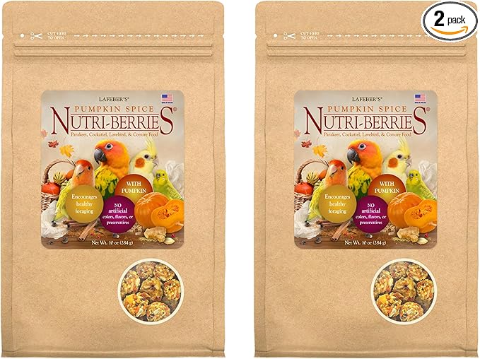 LAFEBER'S Pumpkin Spice Nutri-Berries Pet Bird Food, Made with Non-GMO and Human-Grade Ingredients, 10 oz Pack of 2 (Small Birds)