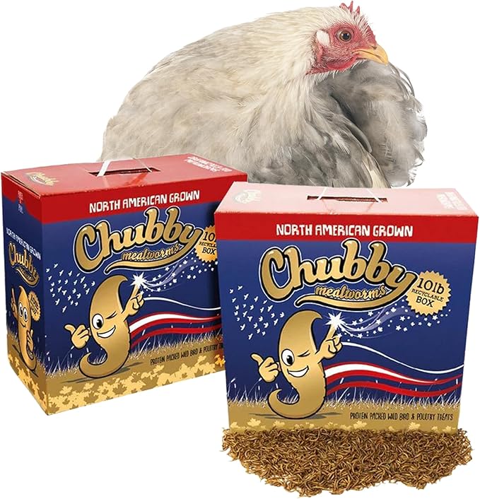 Chubby North American Grown Dried Mealworms | 20 lbs | Non-GMO High-Protein Treats for Chickens, Ducks & Wild Birds – Sustainable Chicken Feed