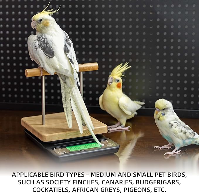 NEOUZA Perch-Mounted Pet Bird Scale, Parrot Weight Scale with Perch, Weight Change Monitoring, Suitable for Parrot, Canaries, Budgerigars, Cockatiels, Society Finches