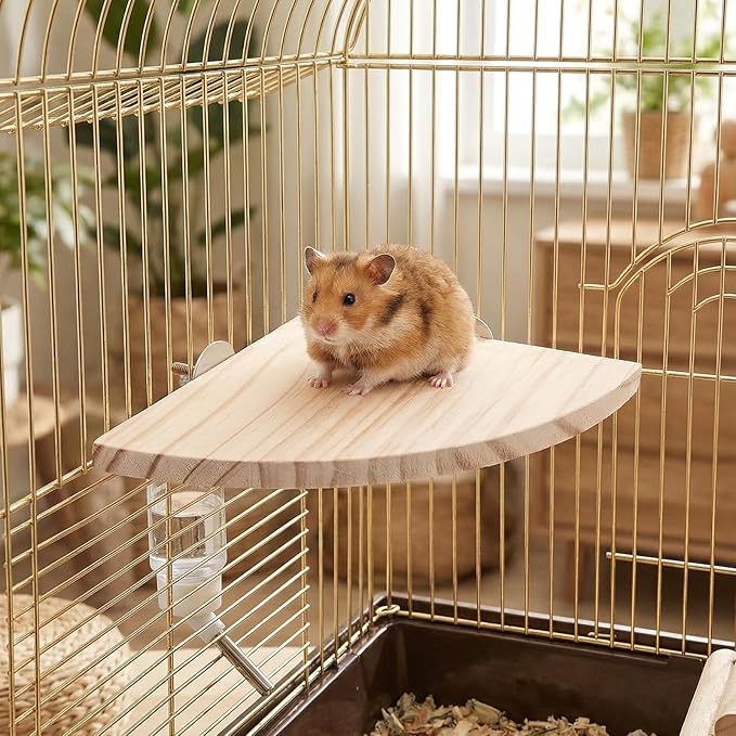 Bird Perch Platform Stand Bird Corner Wood Perch Birds Platform Parrot Stand Flat Fan Shape Playground Cage Accessories Shelf for Parakeet Conure Cockatiel Budgie Gerbil Rat Birds Hamster
