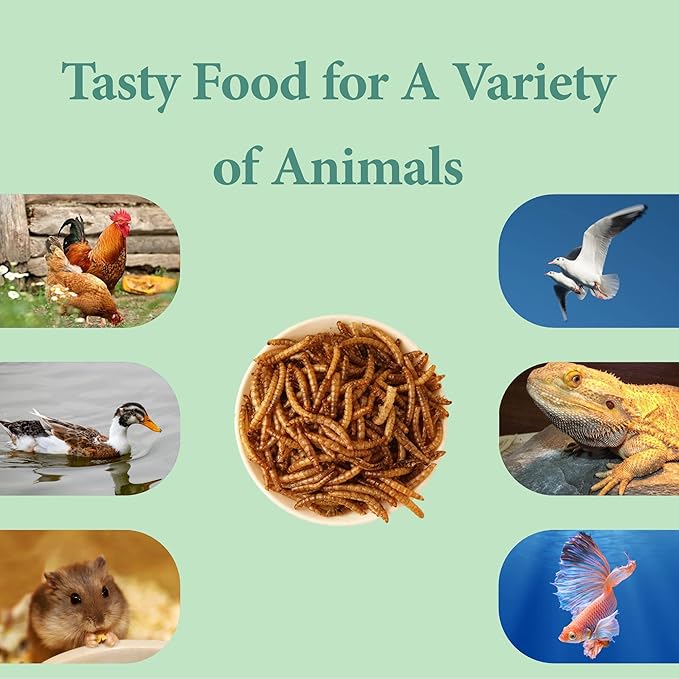 WORMSKING 2LB Dried Mealworms for Poultry, Wild Birds,Tasty Bird Food，Great Bird Watching Gift