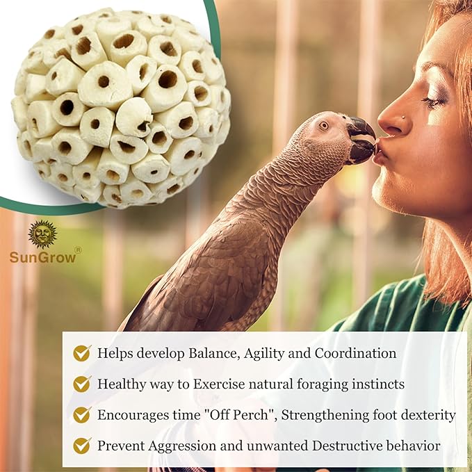 SunGrow Sola Atta Foraging Balls, 2”, White Soft Shred Parrot Chews, Bird Chewing Accessories for Conure, Budgie, Parakeet, Cockatiel, Rabbits, Hamsters, and Small Pets, 3 Pcs/Pack