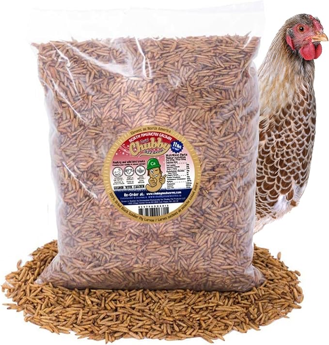 Chubby Dried Black Soldier Fly Larvae | 11 lbs | High Calcium Sustainable Protein Snack for Chickens, Laying Hens, Wild Birds & Reptiles