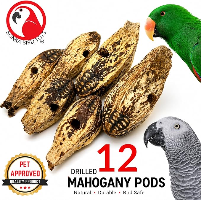 Bonka Bird Toys 3410 Drilled Mahogany Pods Shreddable Foraging Bird Toy with Natural Materials Hanging Cage Toy 9" for Small to Medium Parrots Budgie Cockatiel Conure Chewing Enrichment (Pack of 12)