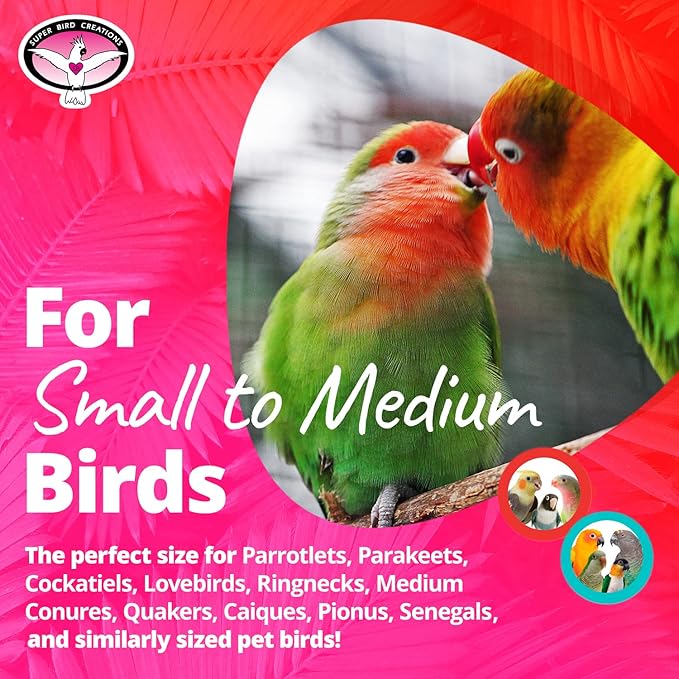 Super Bird Creations SB896 Seeing Stars Bird Toy - Interactive Foraging Toy, Ideal for Parrotlets, Parakeets, Cockatiels, Stimulates Mental and Physical Activity - Small/Medium Bird Size, 9.5" x 3.5"