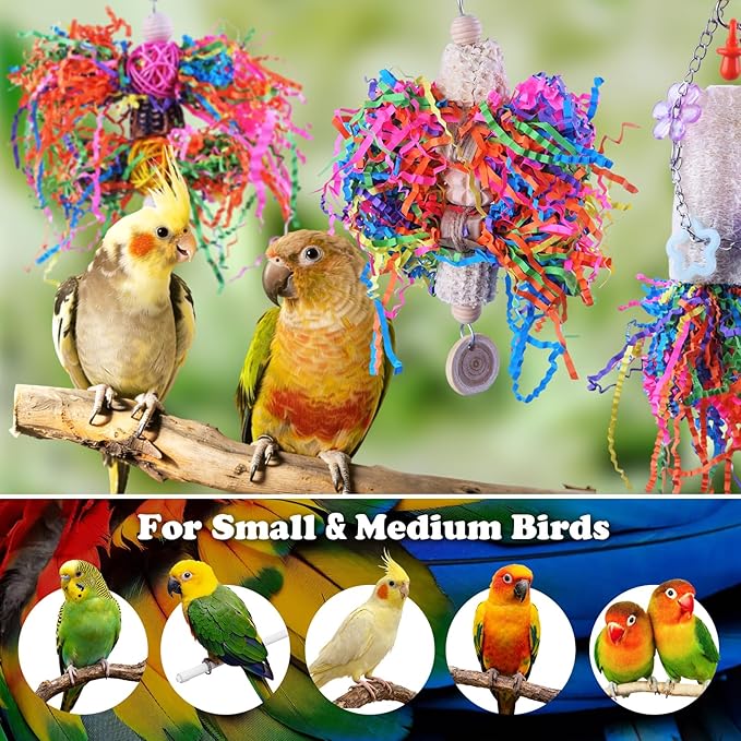 Bird Toys, Parakeet Foraging Toy, Hanging Chewing Toy, Bird Cage Accessories – Suitable for Cockatiels, Budgies, Lovebirds, Conures and Other Small Parrots