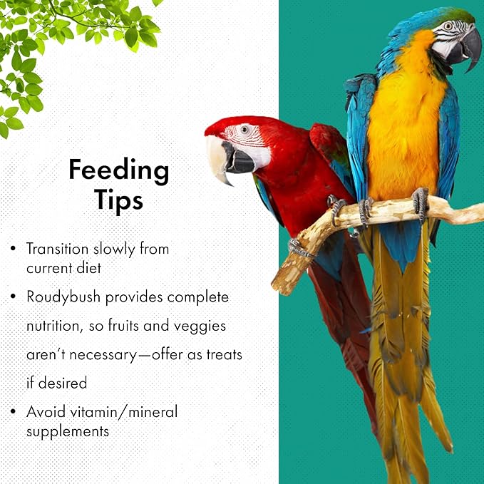 Roudybush High Energy Breeder Food for Breeding & Weaning Birds-Scientifically Formulated Bird Feed-Bird Food Pellets w/ Corn, Wheat, Soy - Nutritious & Healthy Feed for Birds (Medium, 44oz)