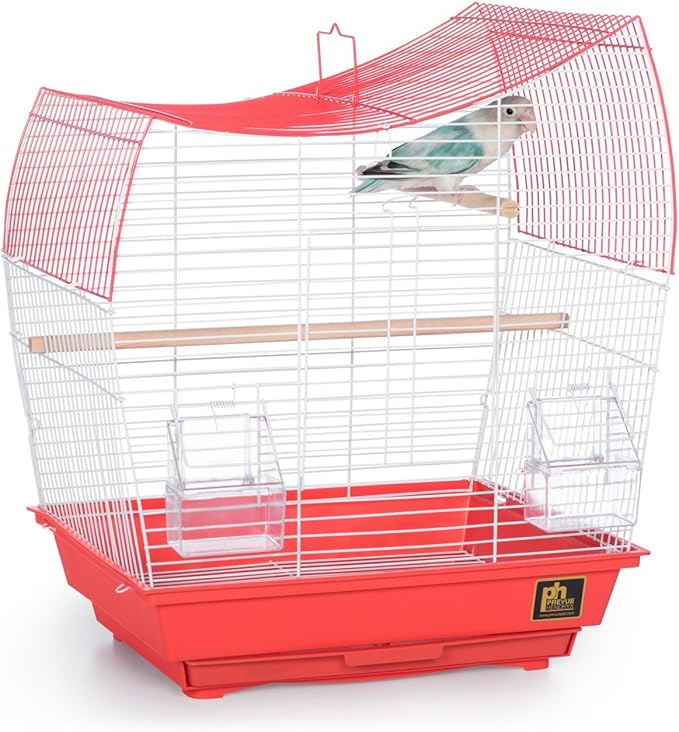 Prevue Pet Products South Beach Wave Top Bird Cage - Ideal for Finches, Canaries, Budgies, and Similarly Sized Birds, Minimal Assembly, Made of Powder-Coated Steel Wire Mesh - Green